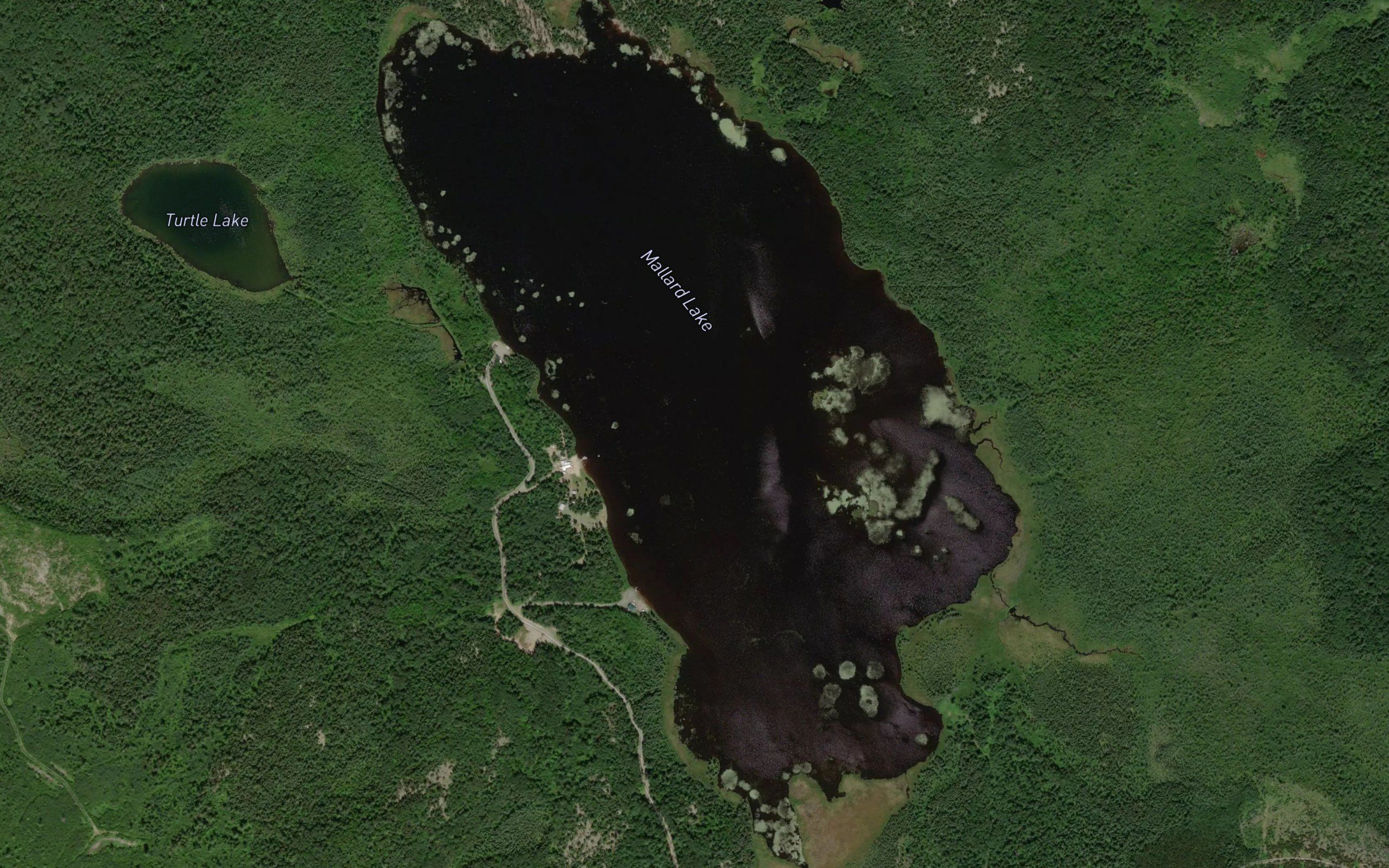 Mallard Lake