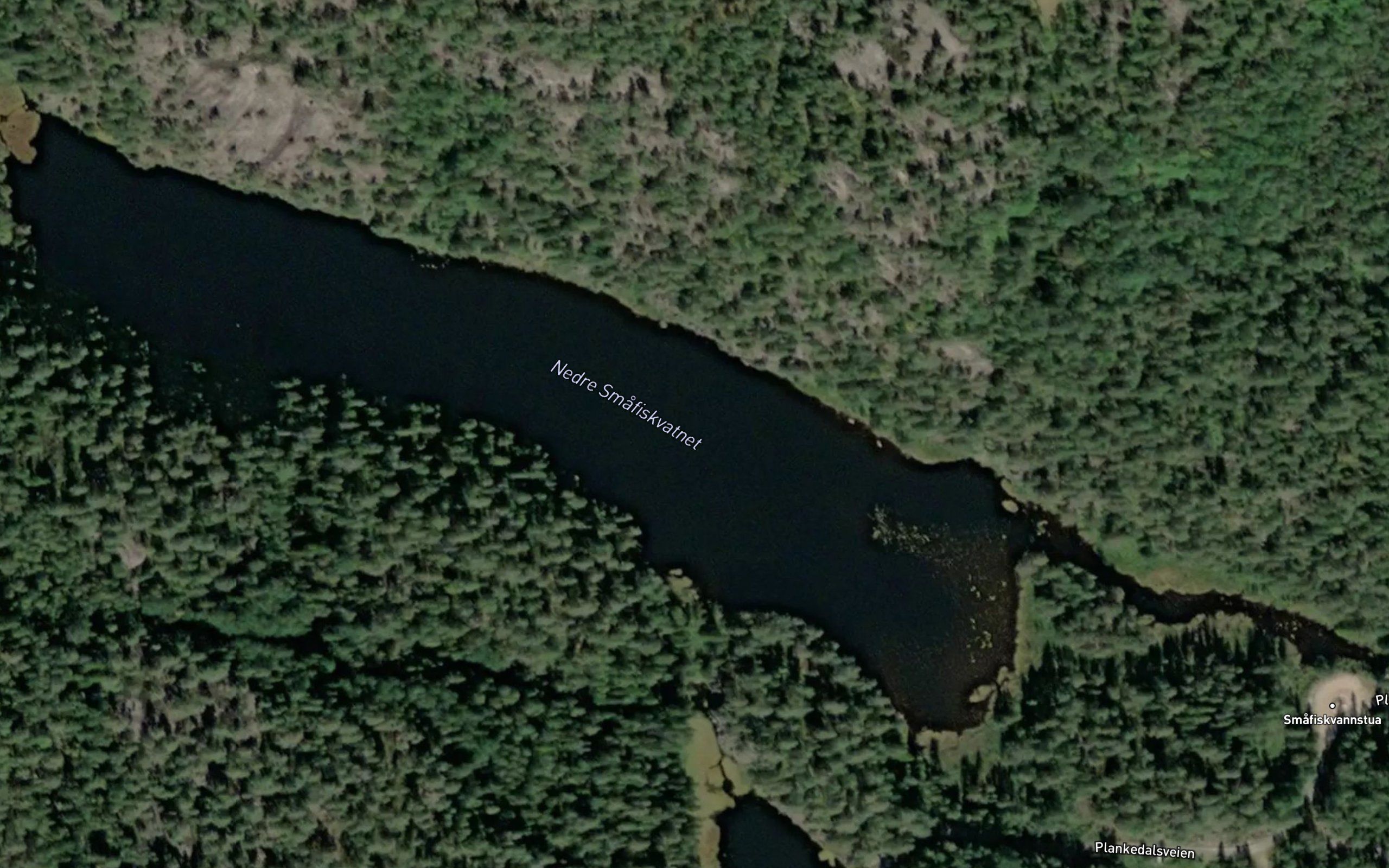 Nedre Smafiskvatnet