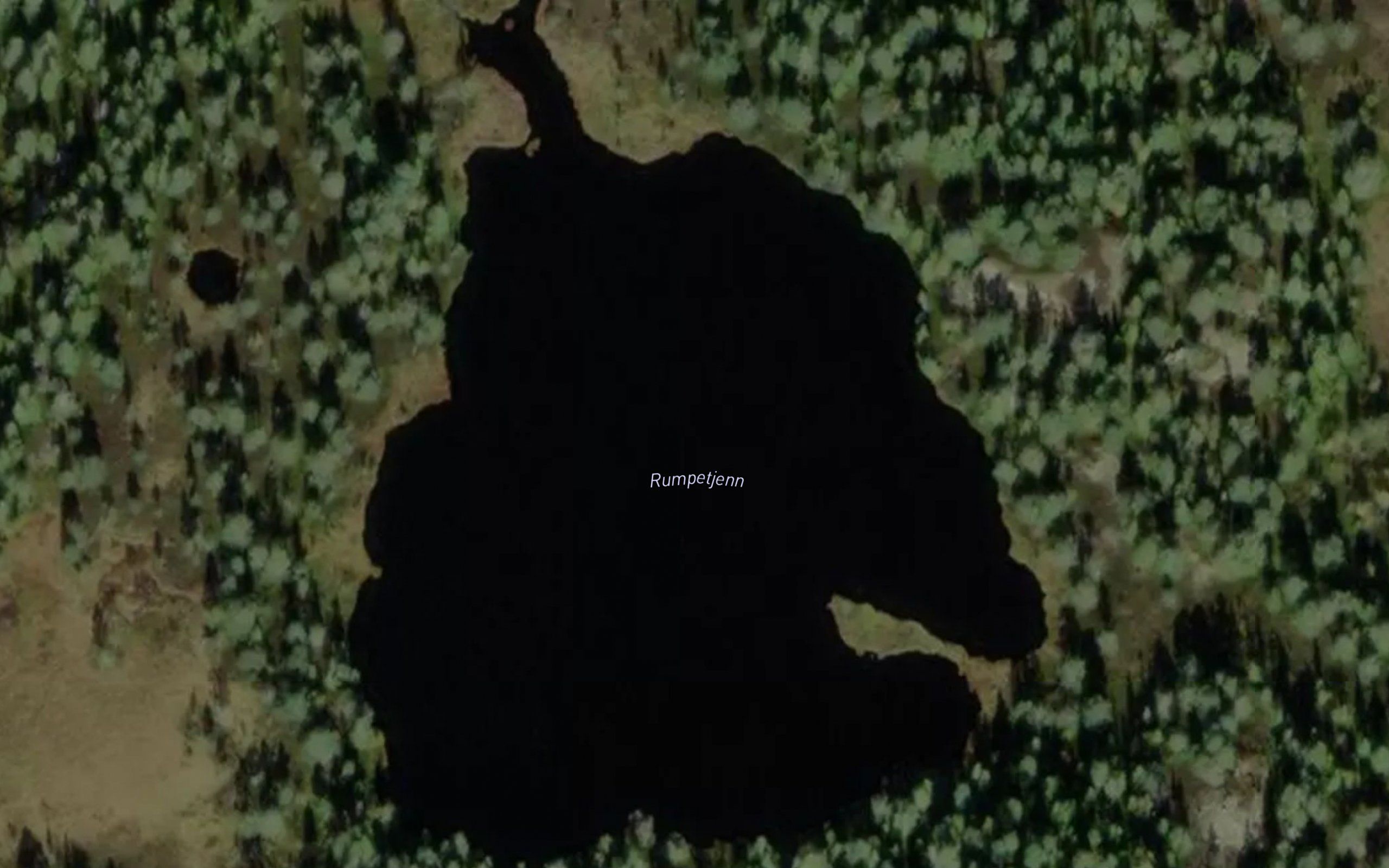 Rumpetjorn