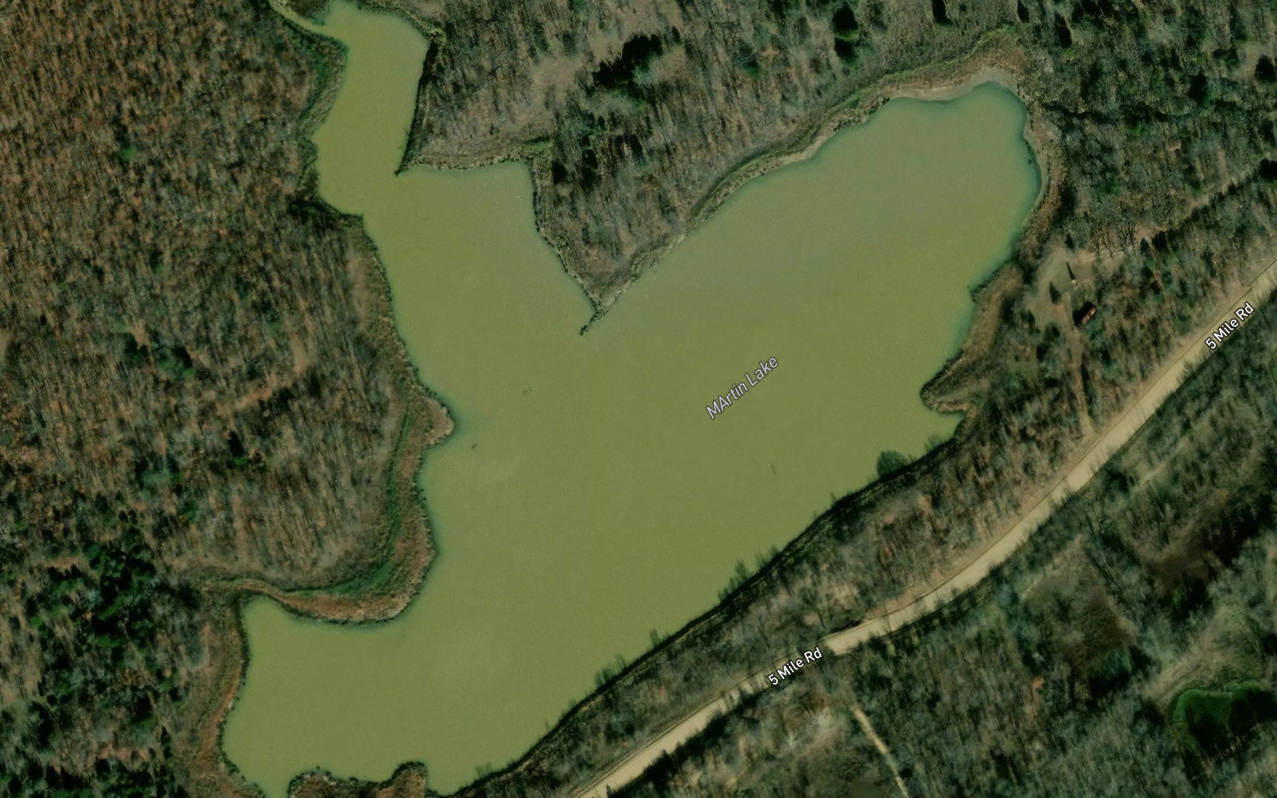 Martin Lake