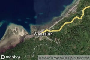 Wai Salah
