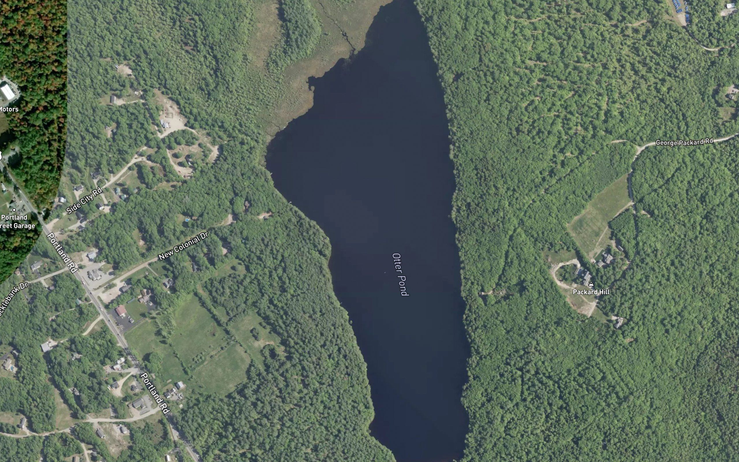Otter Pond