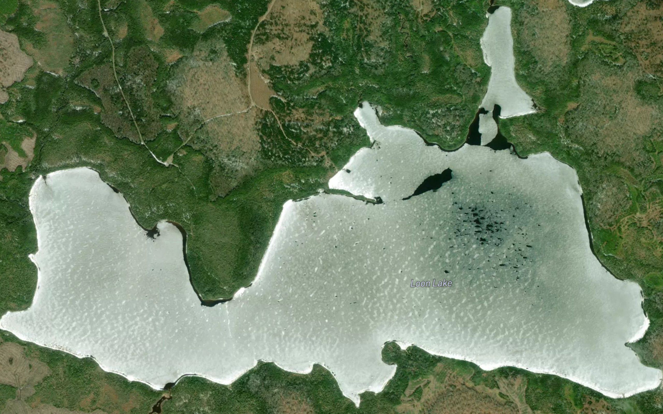 Loon Lake