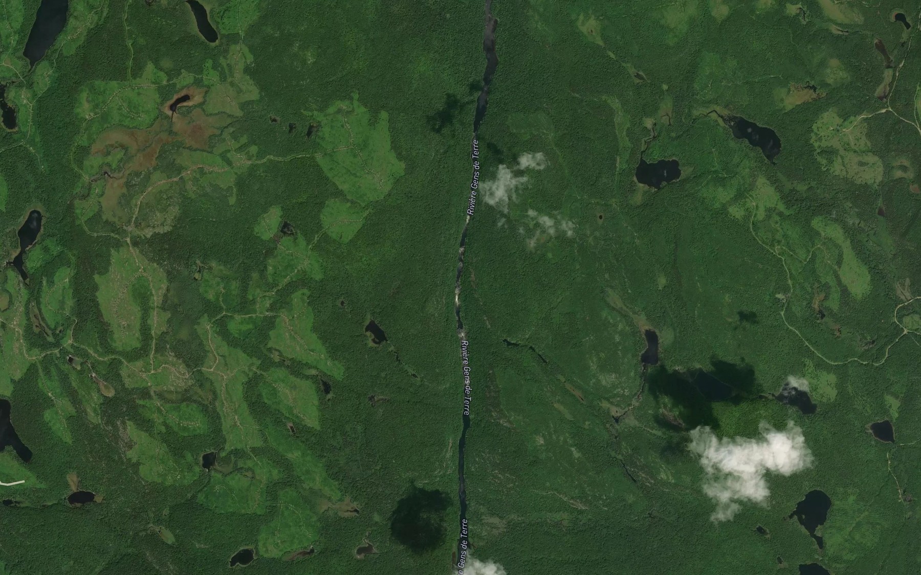 Satellite map of the Rapides Minnie