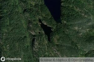 Hogfjelltjodn