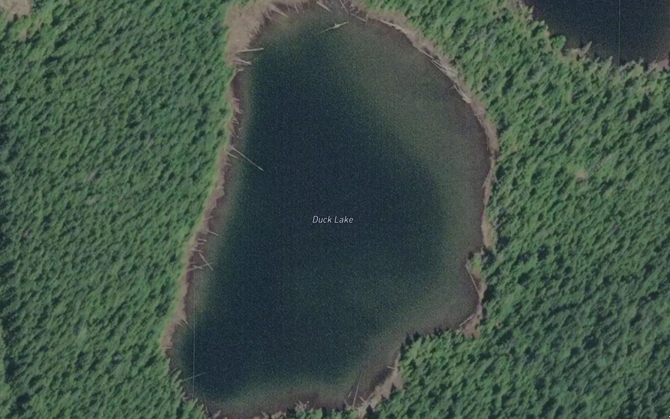 Duck Lake