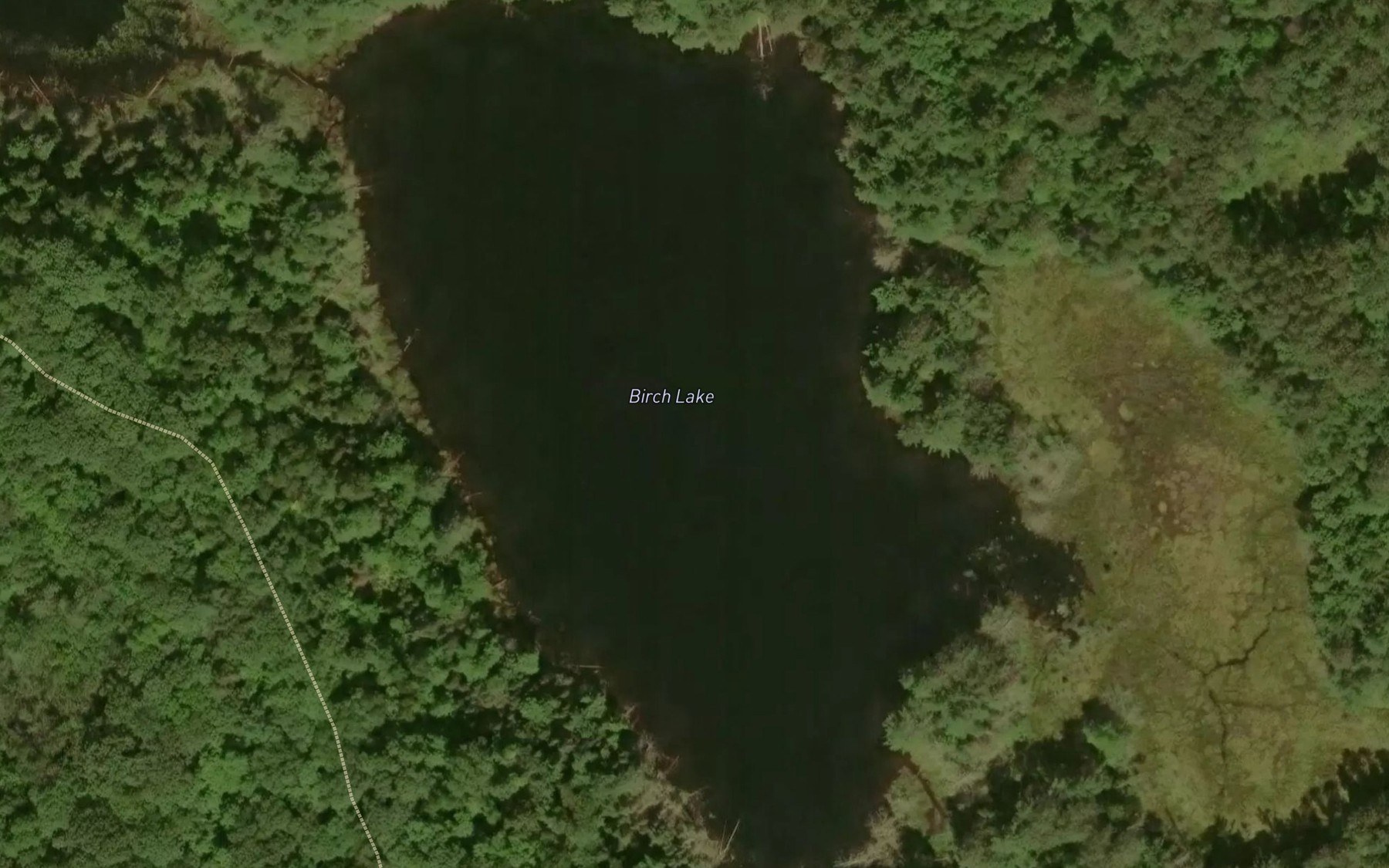 Satellite map of the Birch Lake