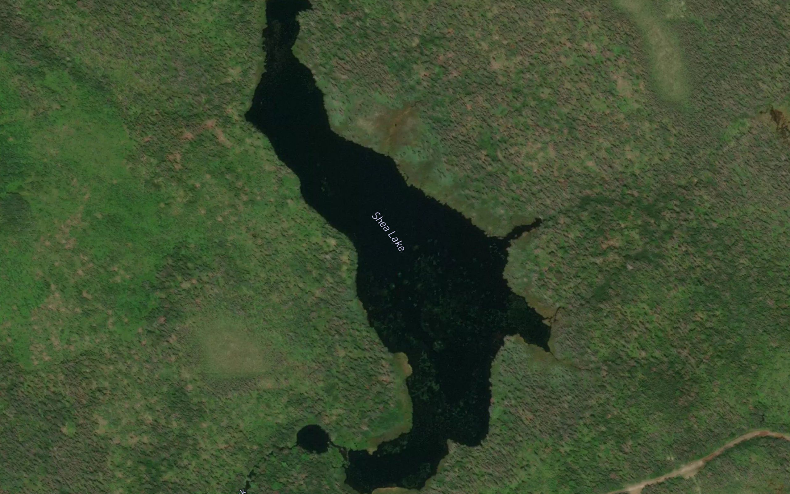 Shea Lake