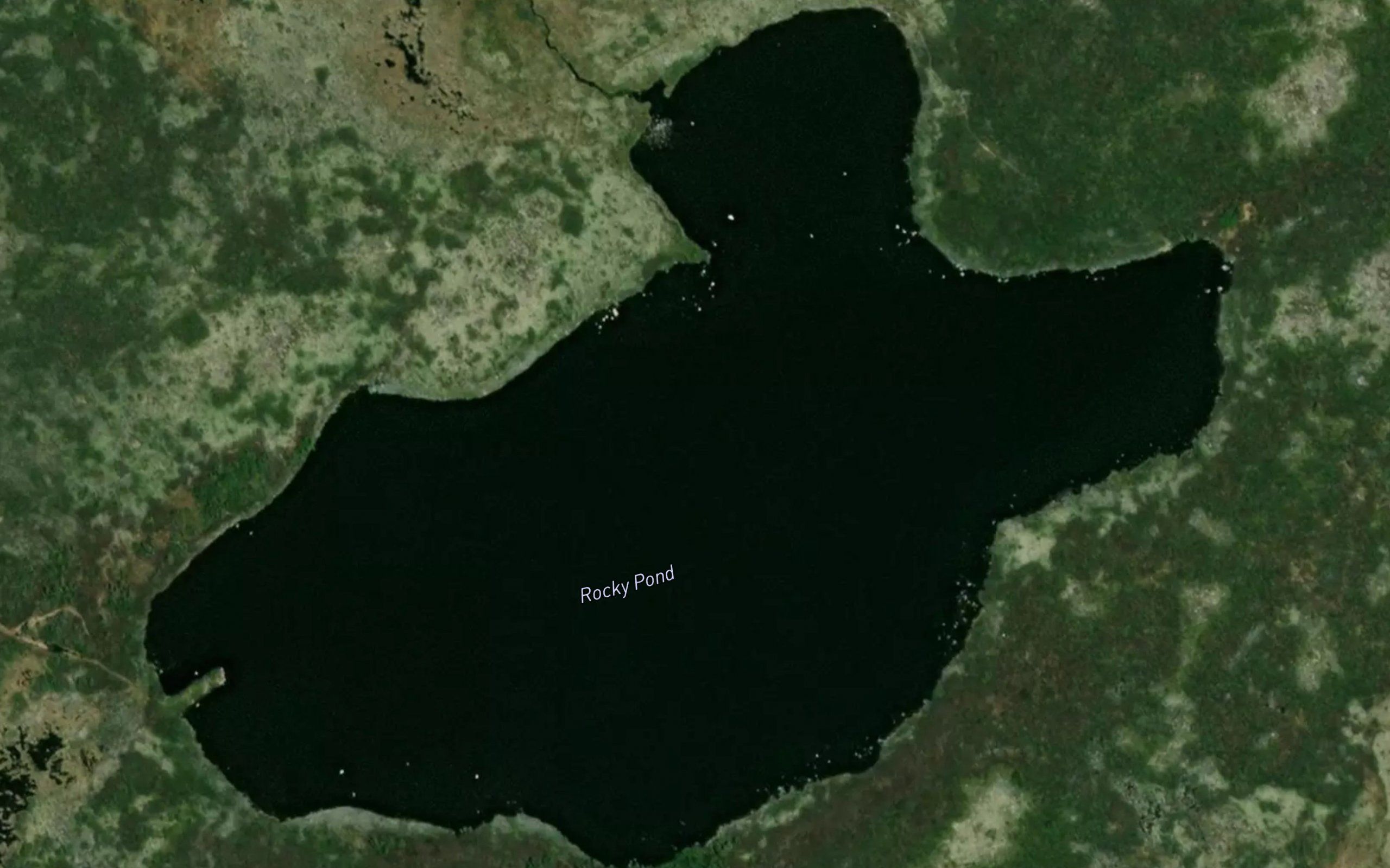 Rocky Pond