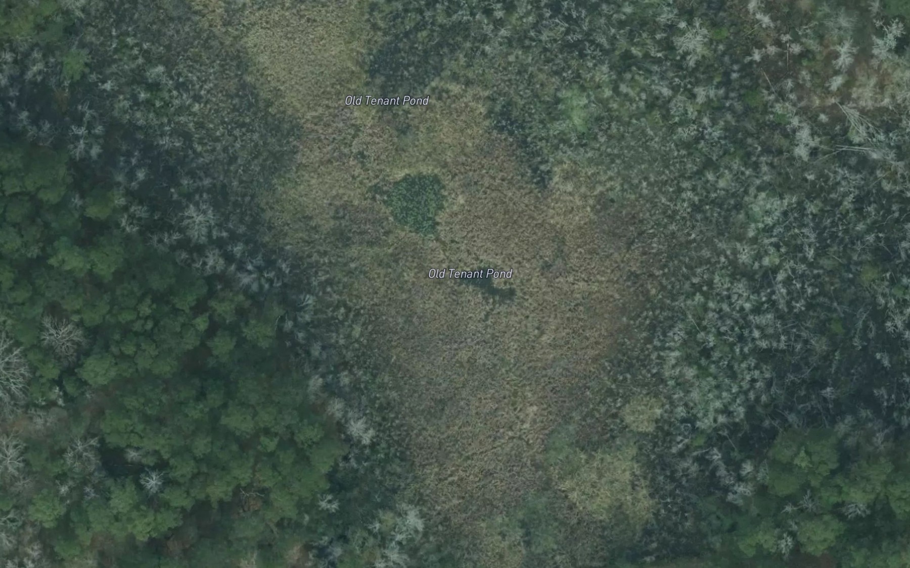 Satellite map of the Old Tenant Pond