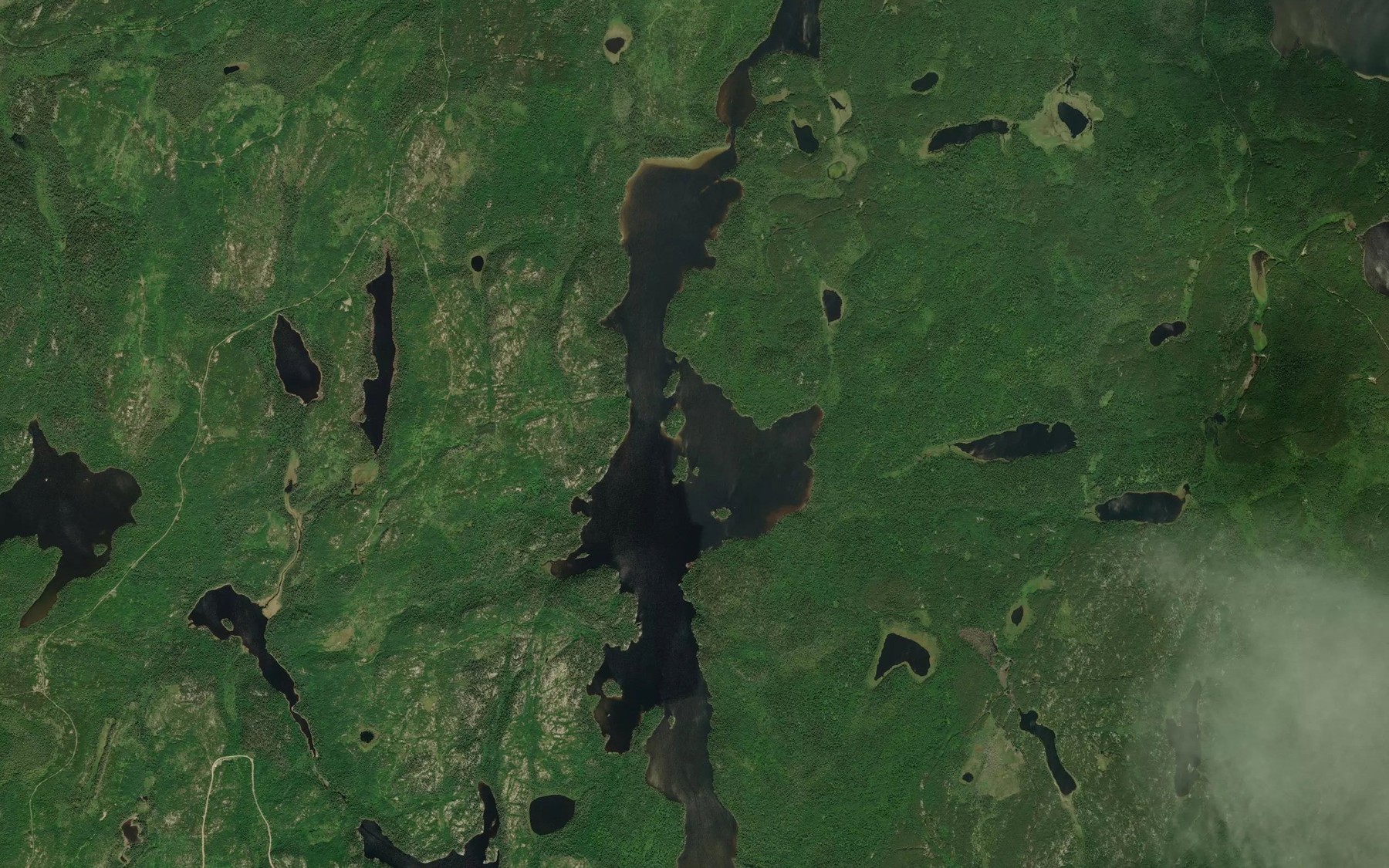 Satellite map of the Roslyn Lake