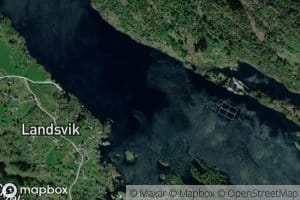 Landsvikosen