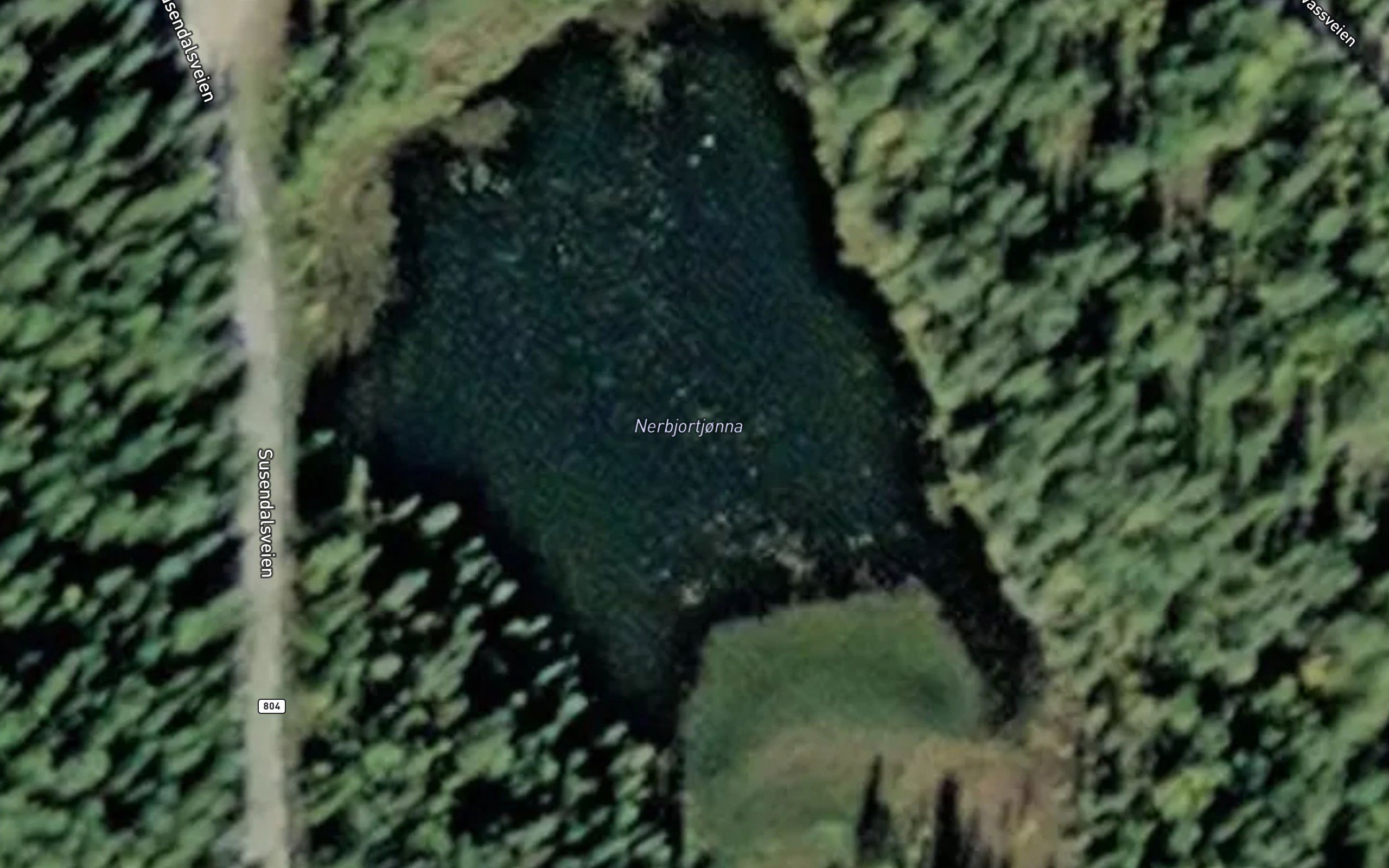Nerbjortjonna