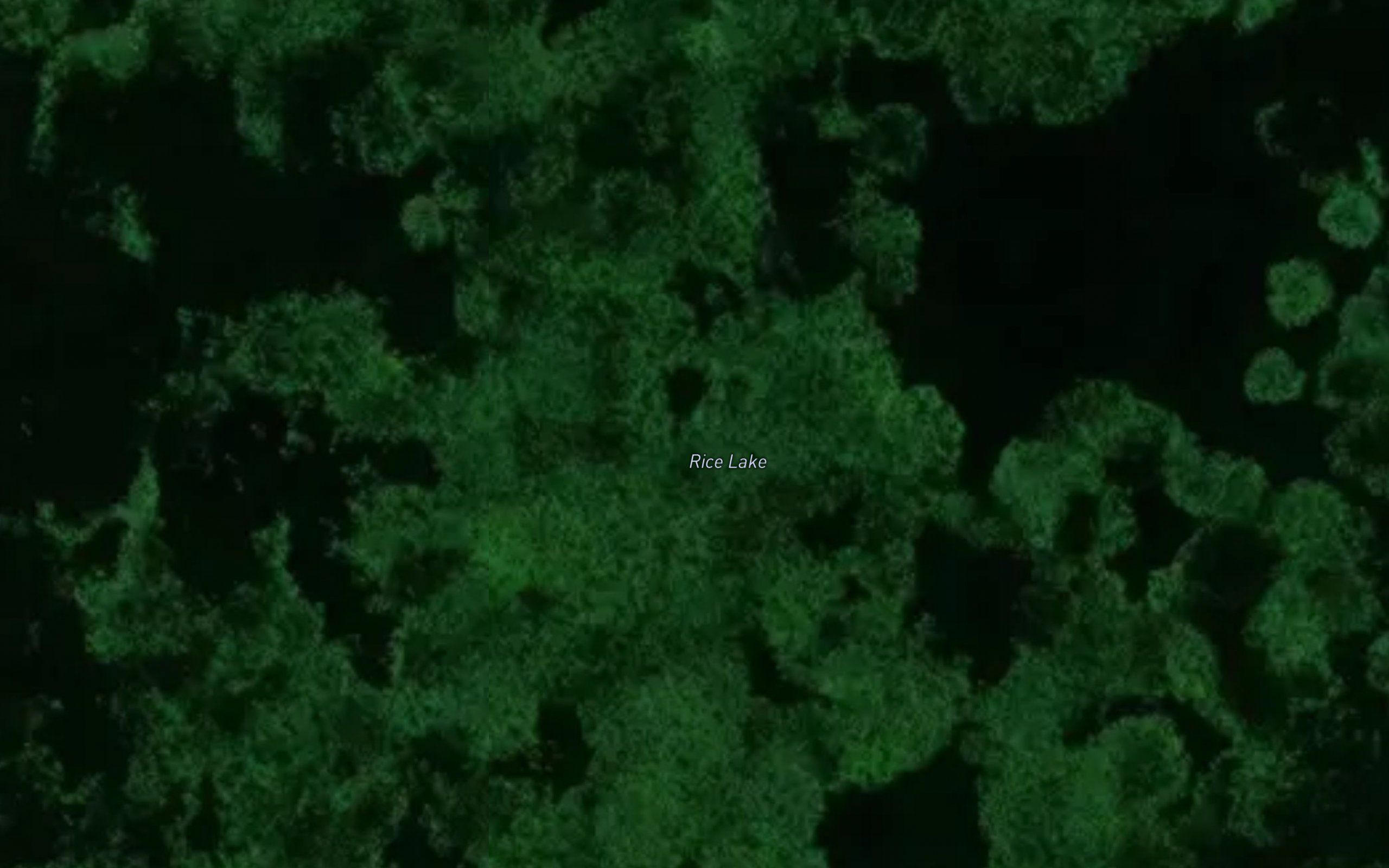 Rice Lake