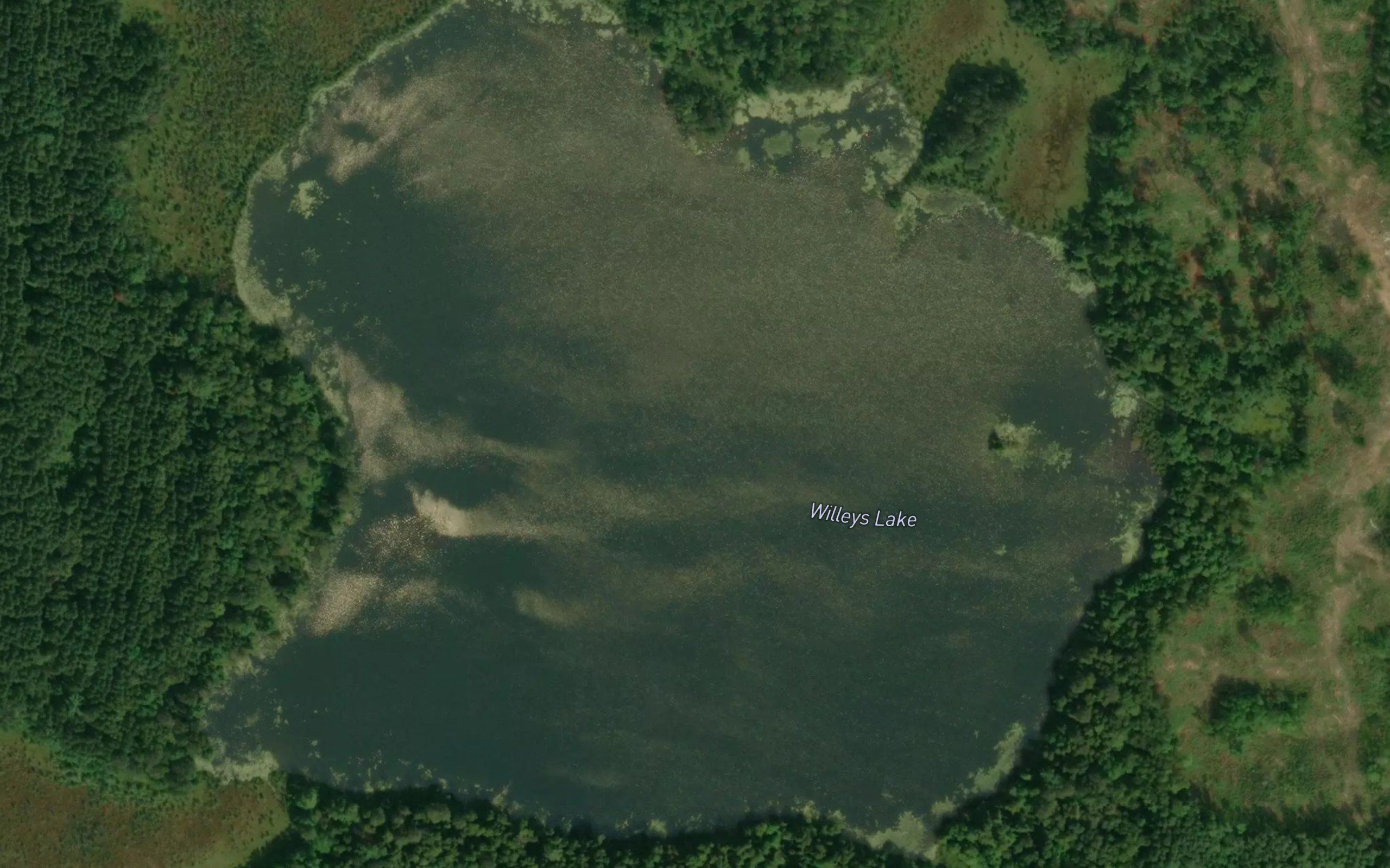 Willeys Lake