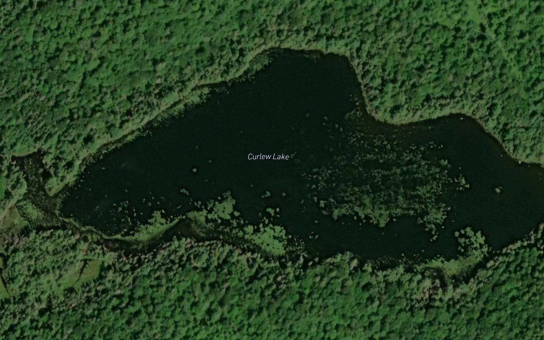 Satellite map of the Curlew Lake