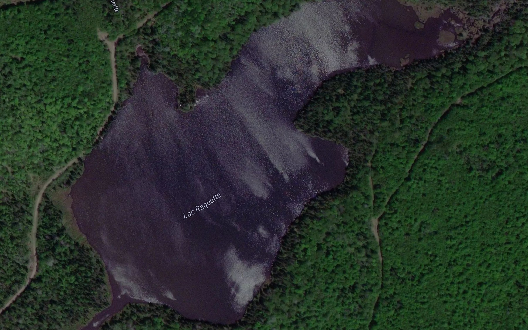 Satellite map of the Lac Raquette