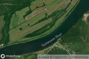 Cypress Pond