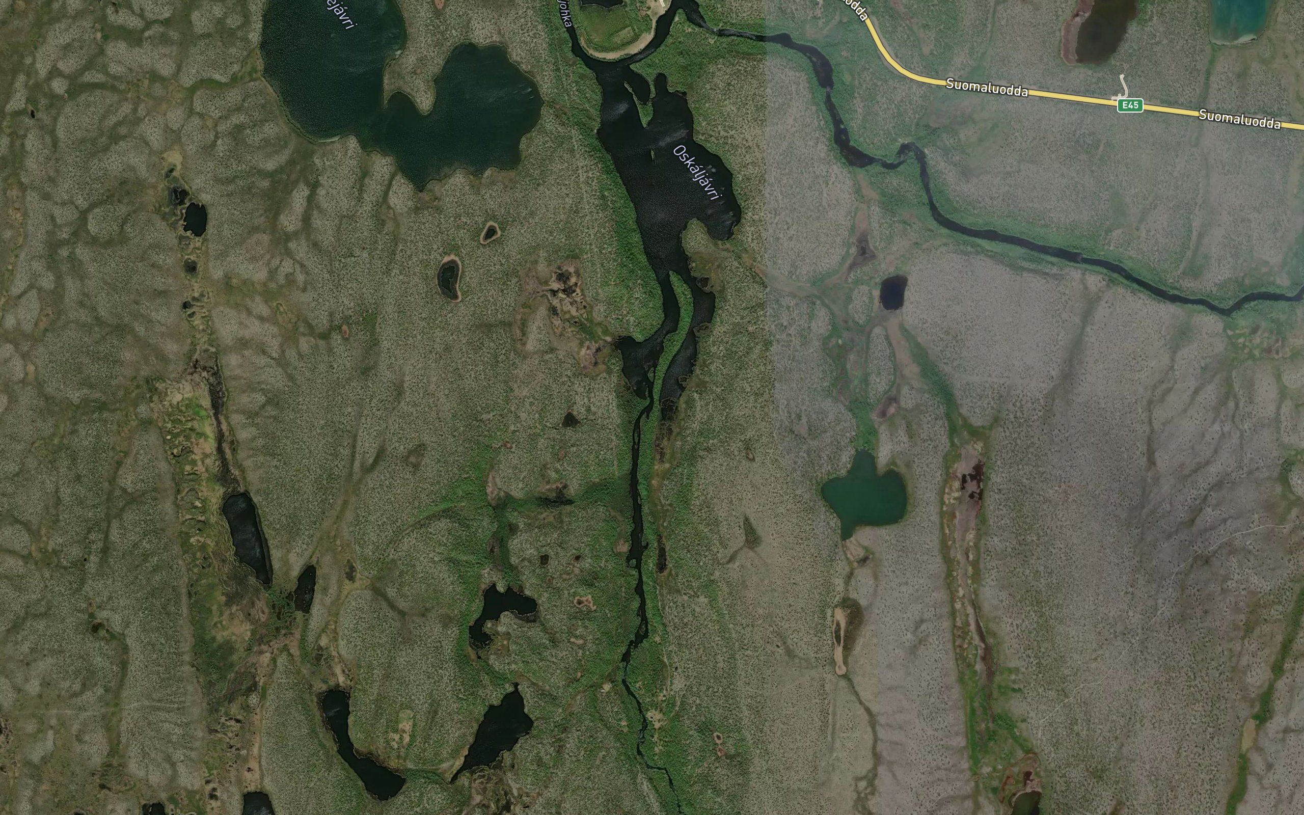 Rietnjajohka