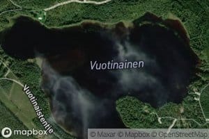 Vuotinainen