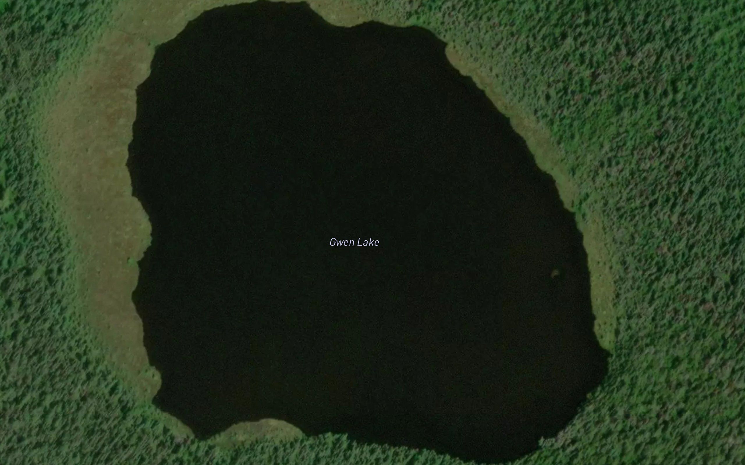 Gwen Lake