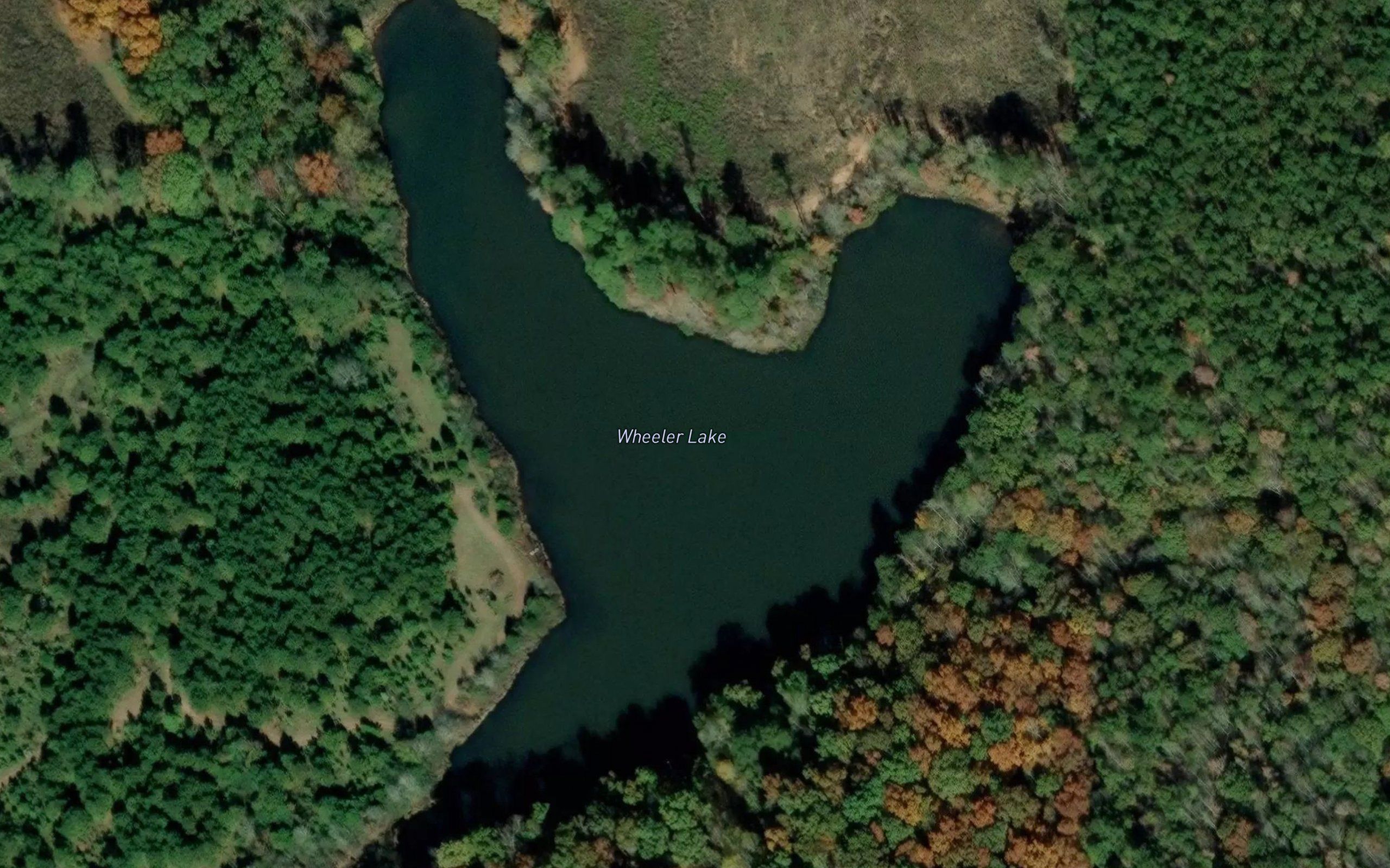 Wheeler Lake