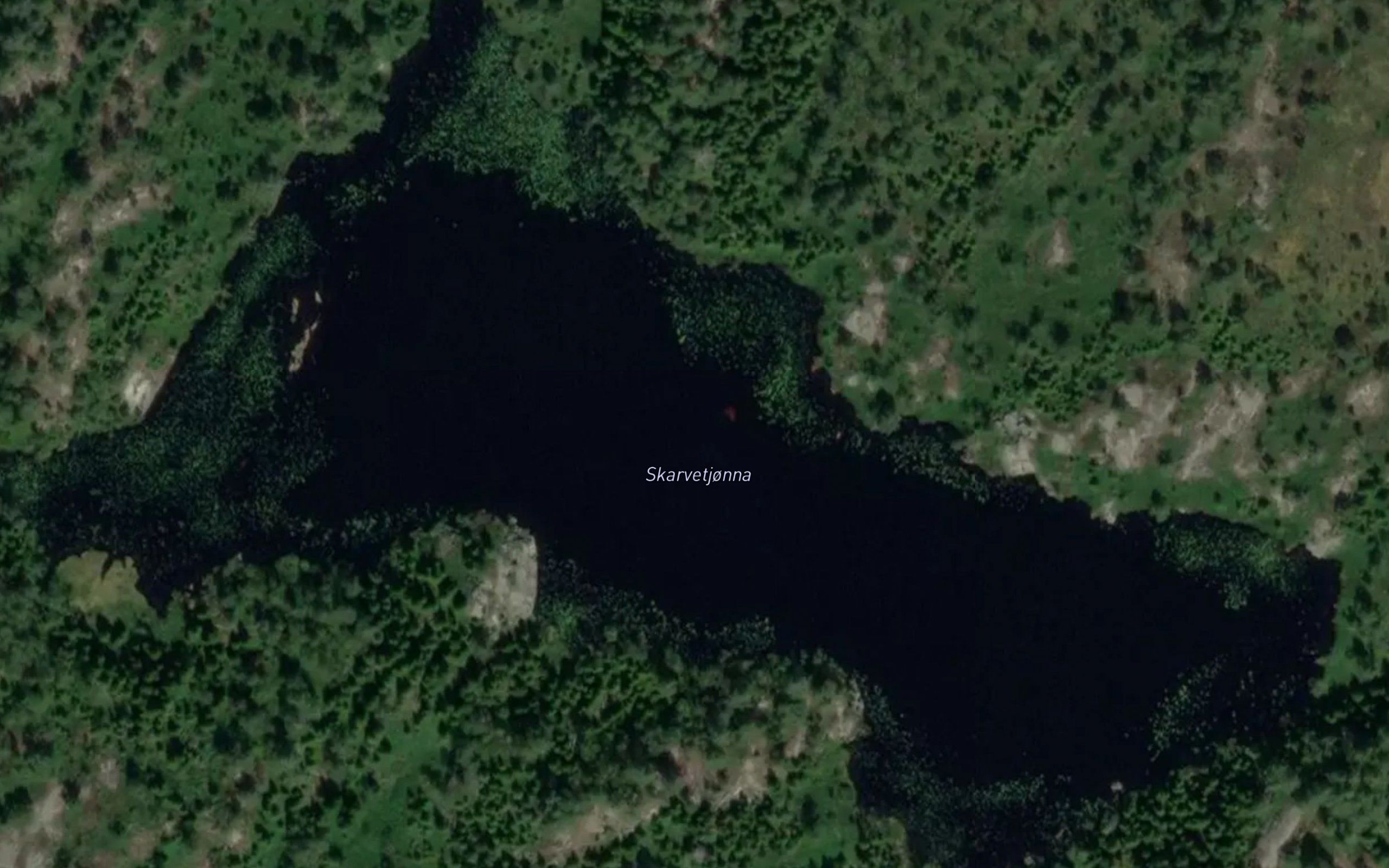 Skarvetjonna