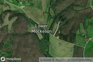 Mockeson Branch