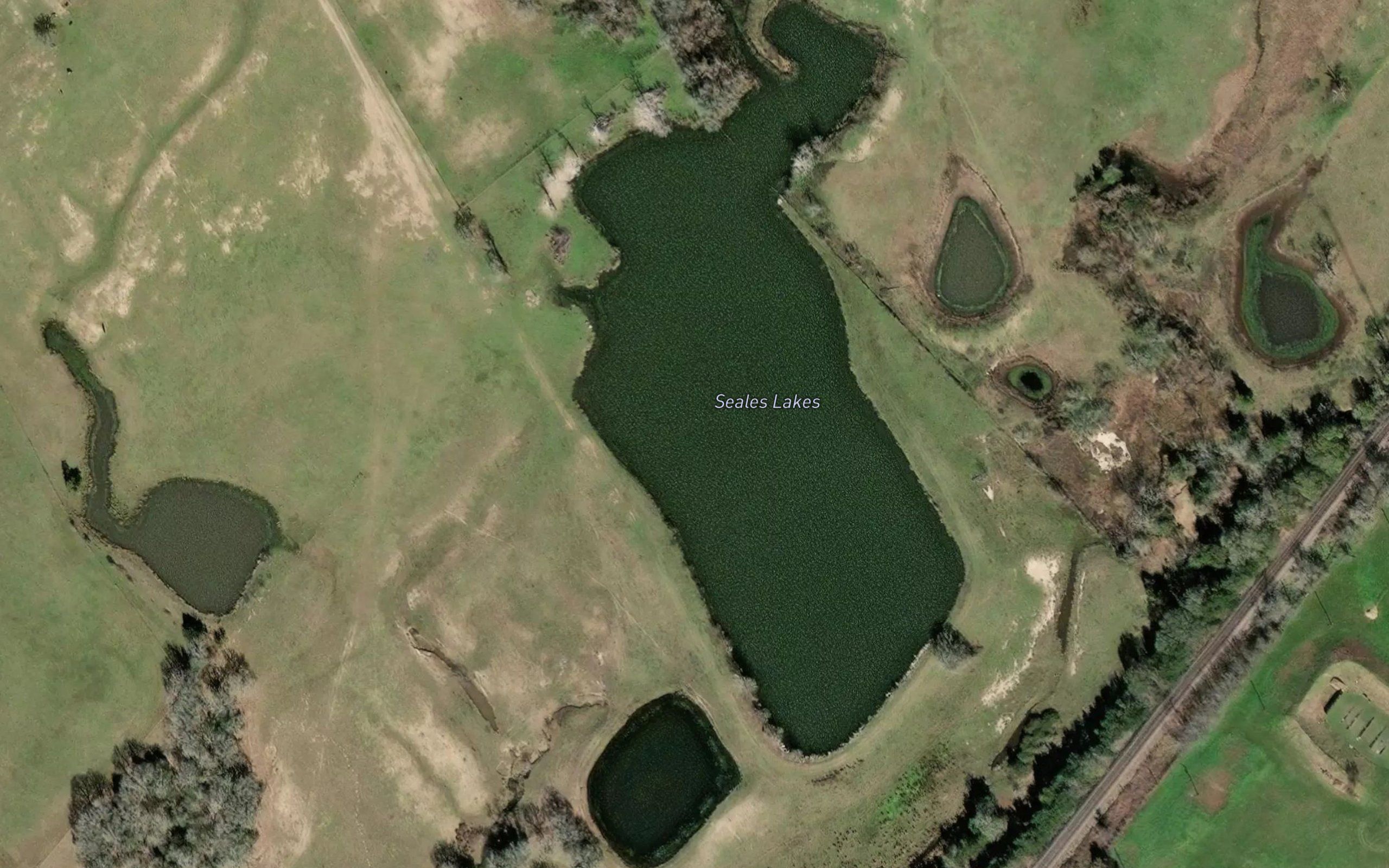 Seales Lakes