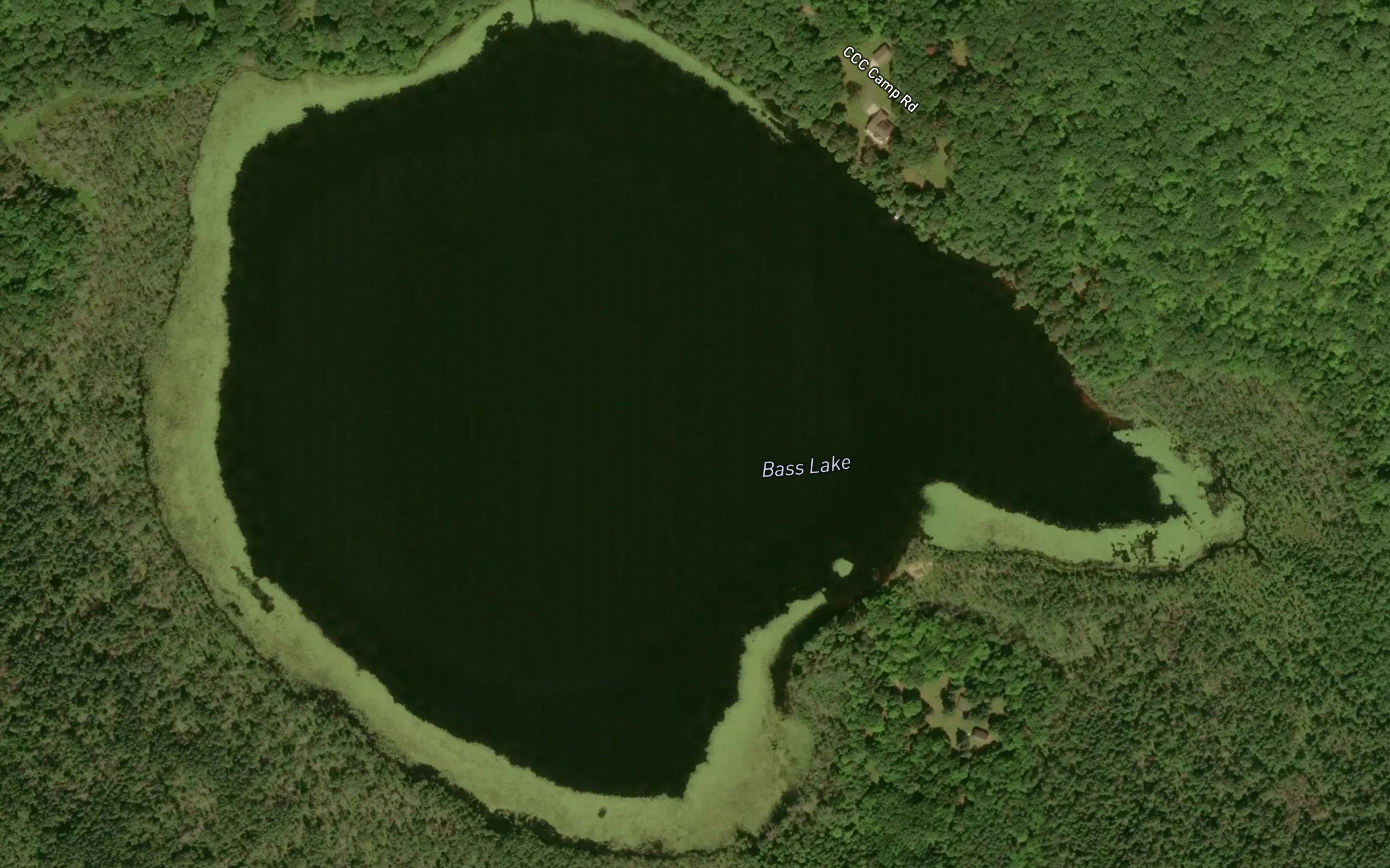 Bass Lake