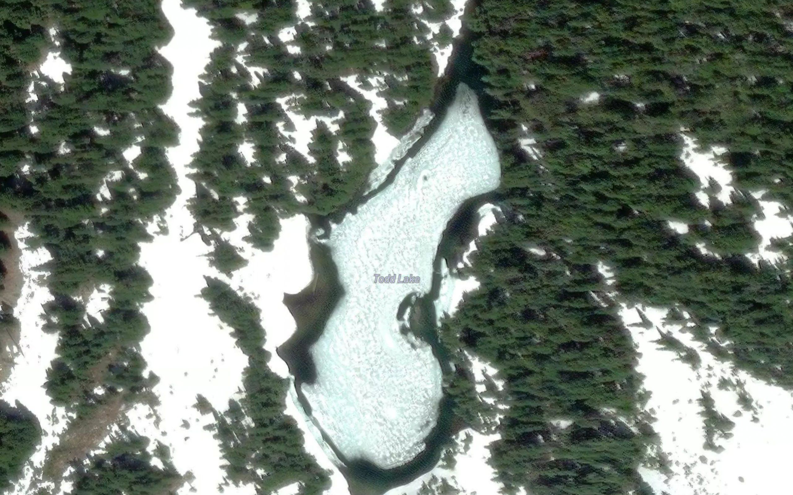 Todd Lake