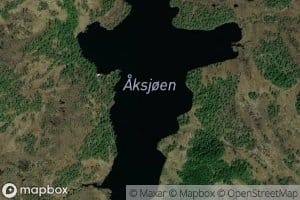 Aksjoen