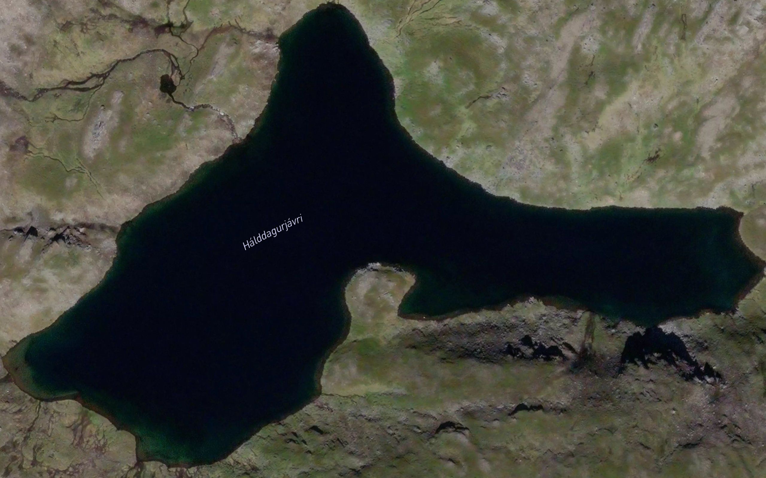 Haldagurjavri