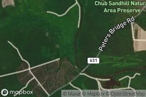 Hunting Quarter Swamp