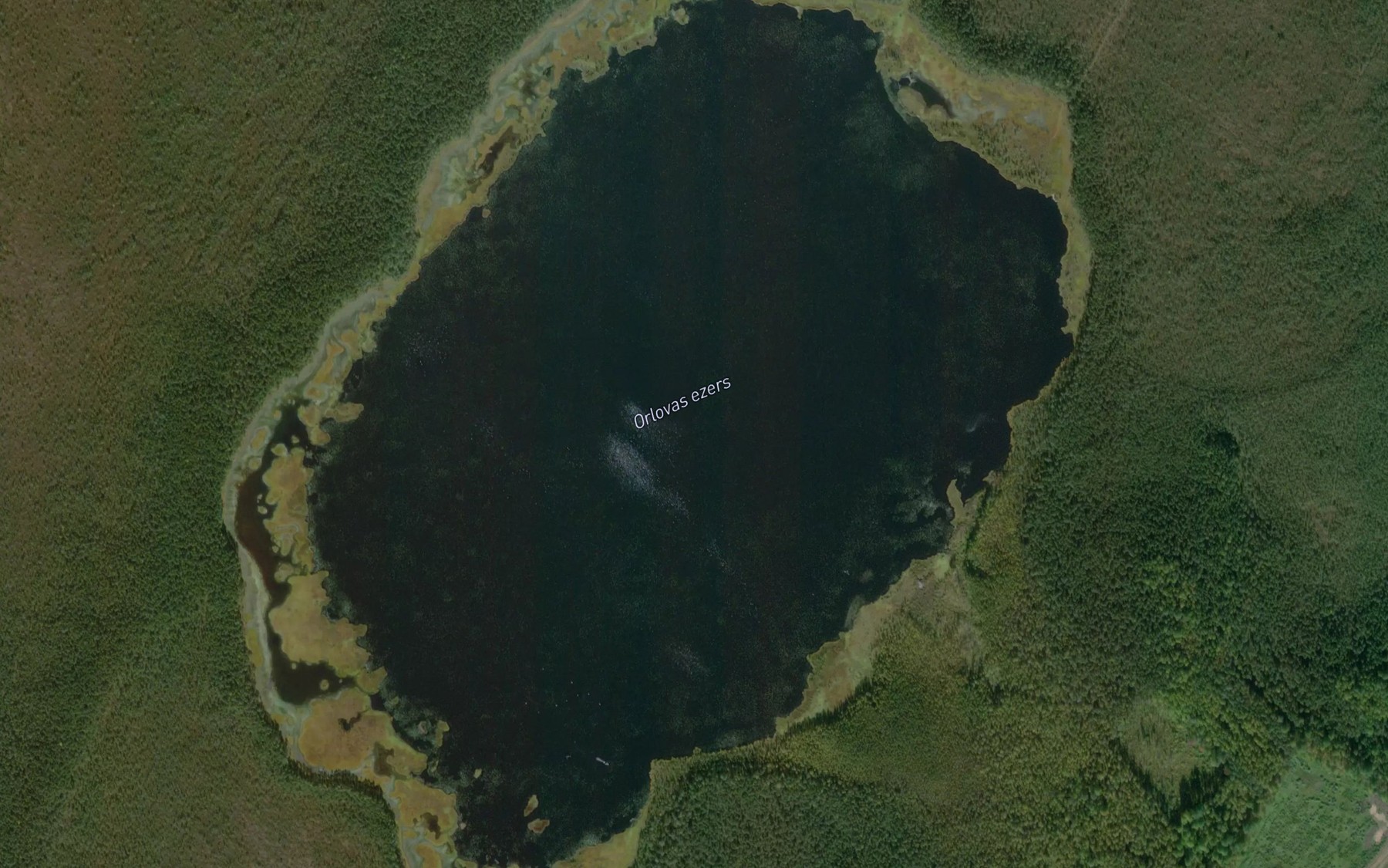 Satellite map of the Orlovas Ezers