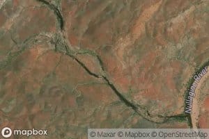 Reedy Creek