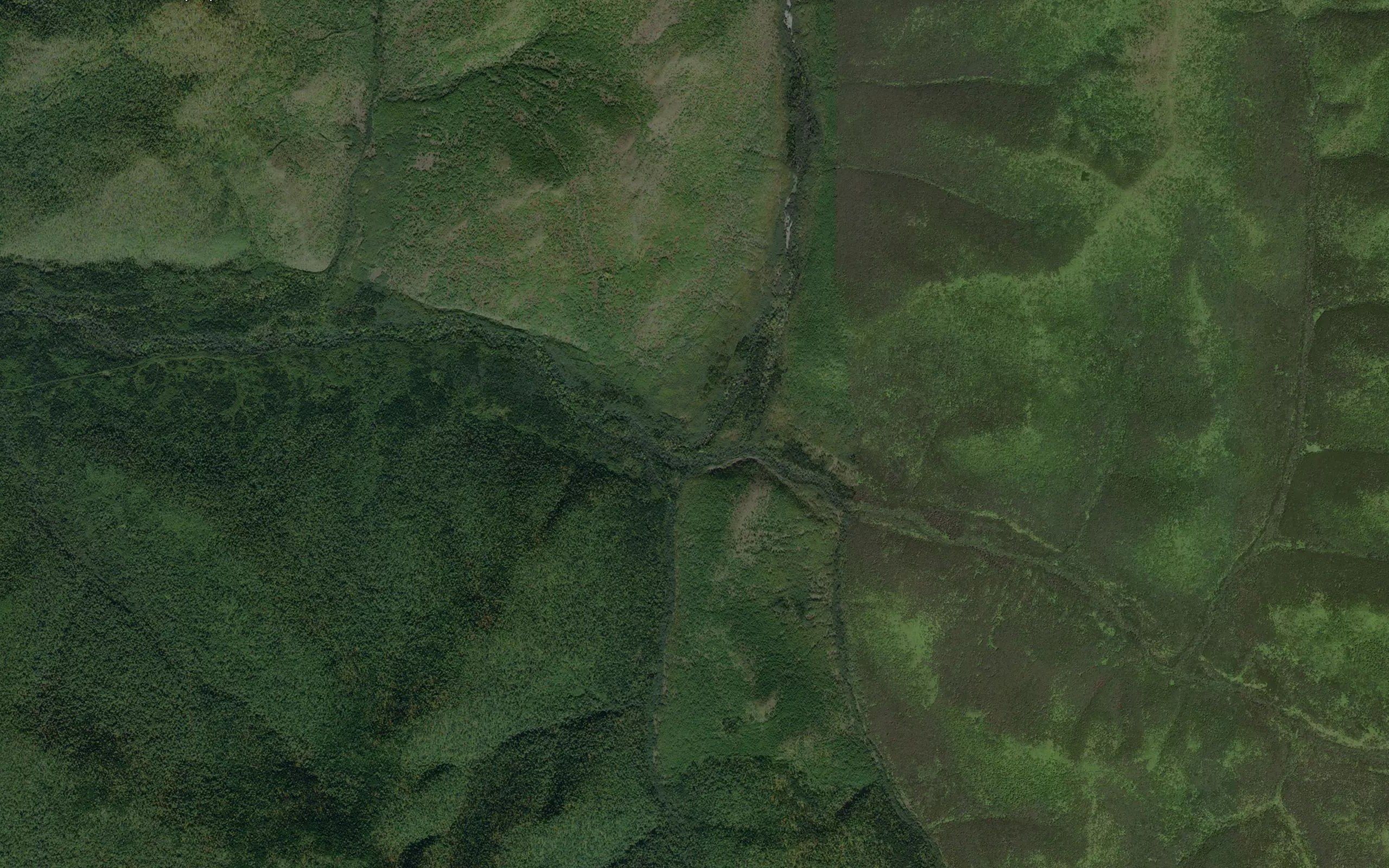 Borektinskiy