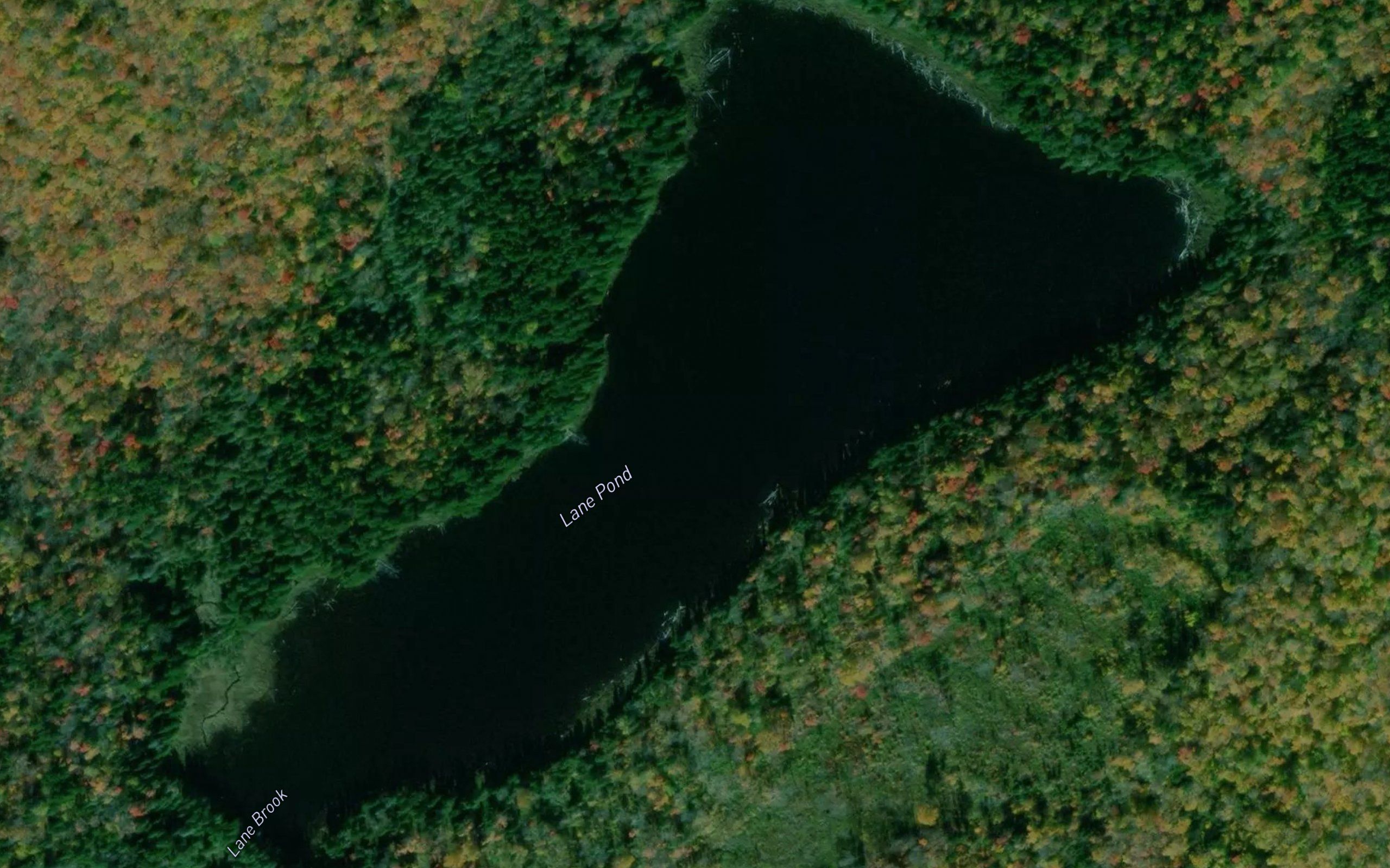 Lane Pond