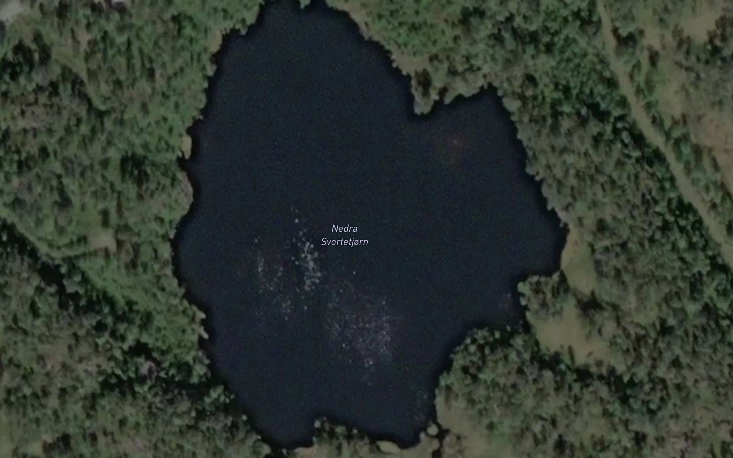 Svortetjorn