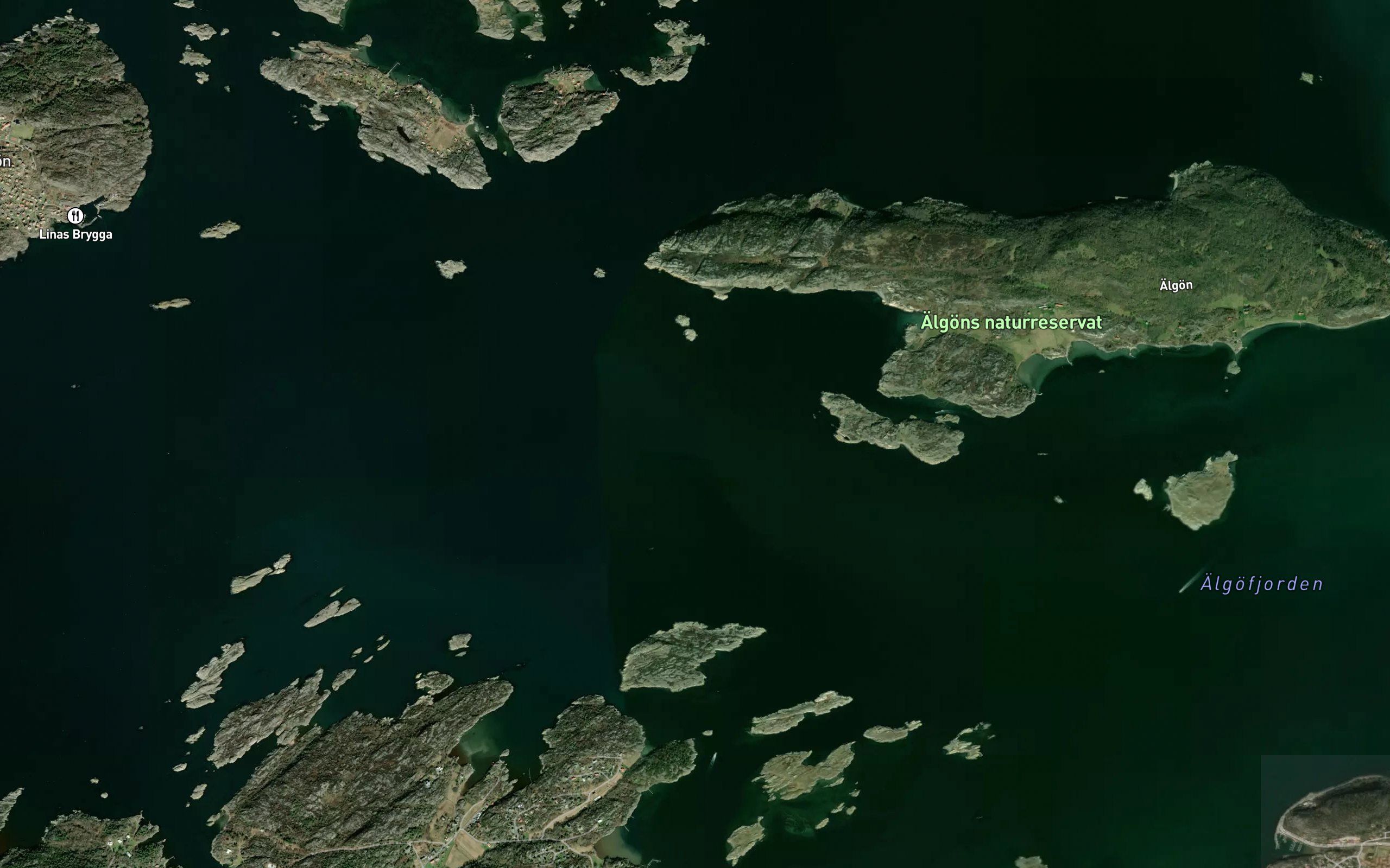 Algofjorden