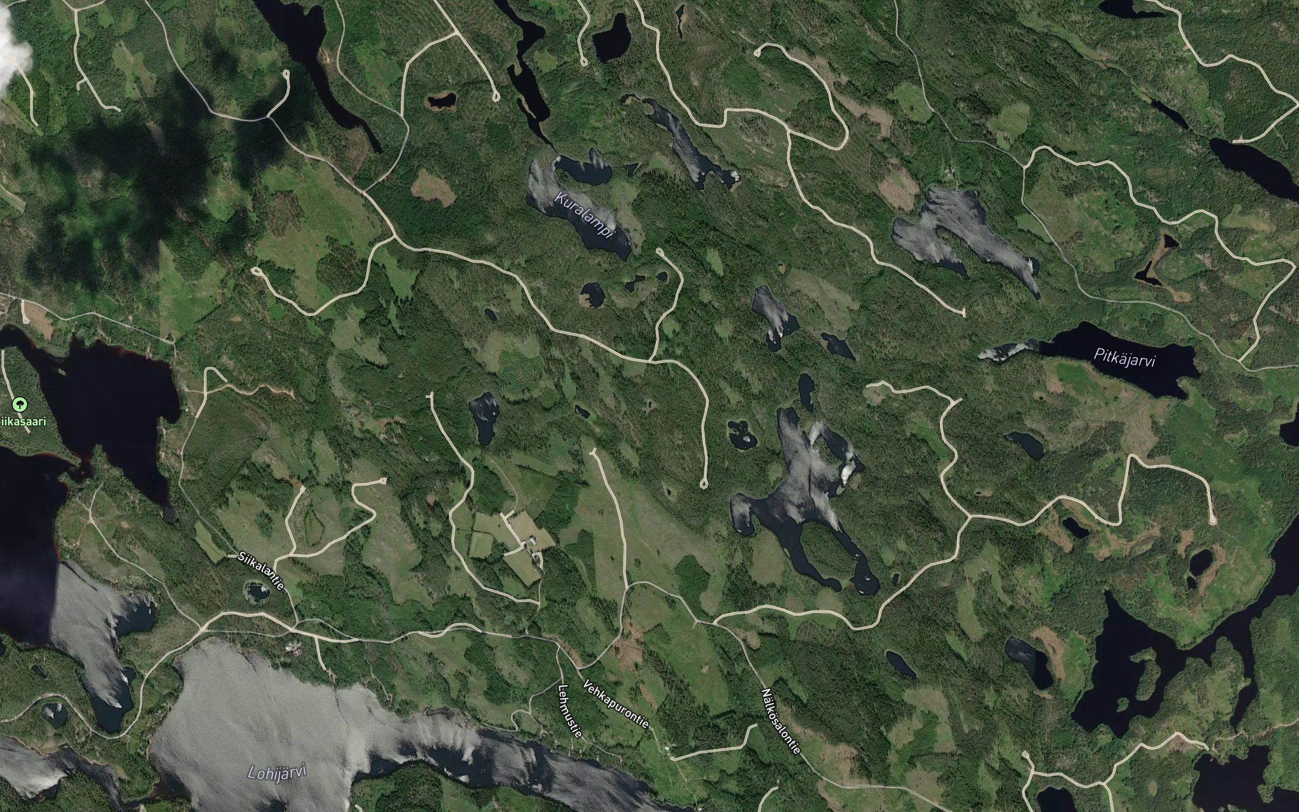 Lokalampi