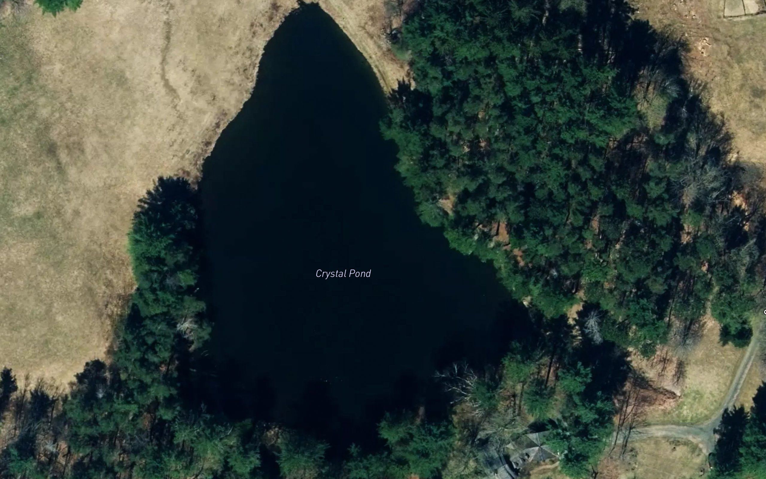 Crystal Pond