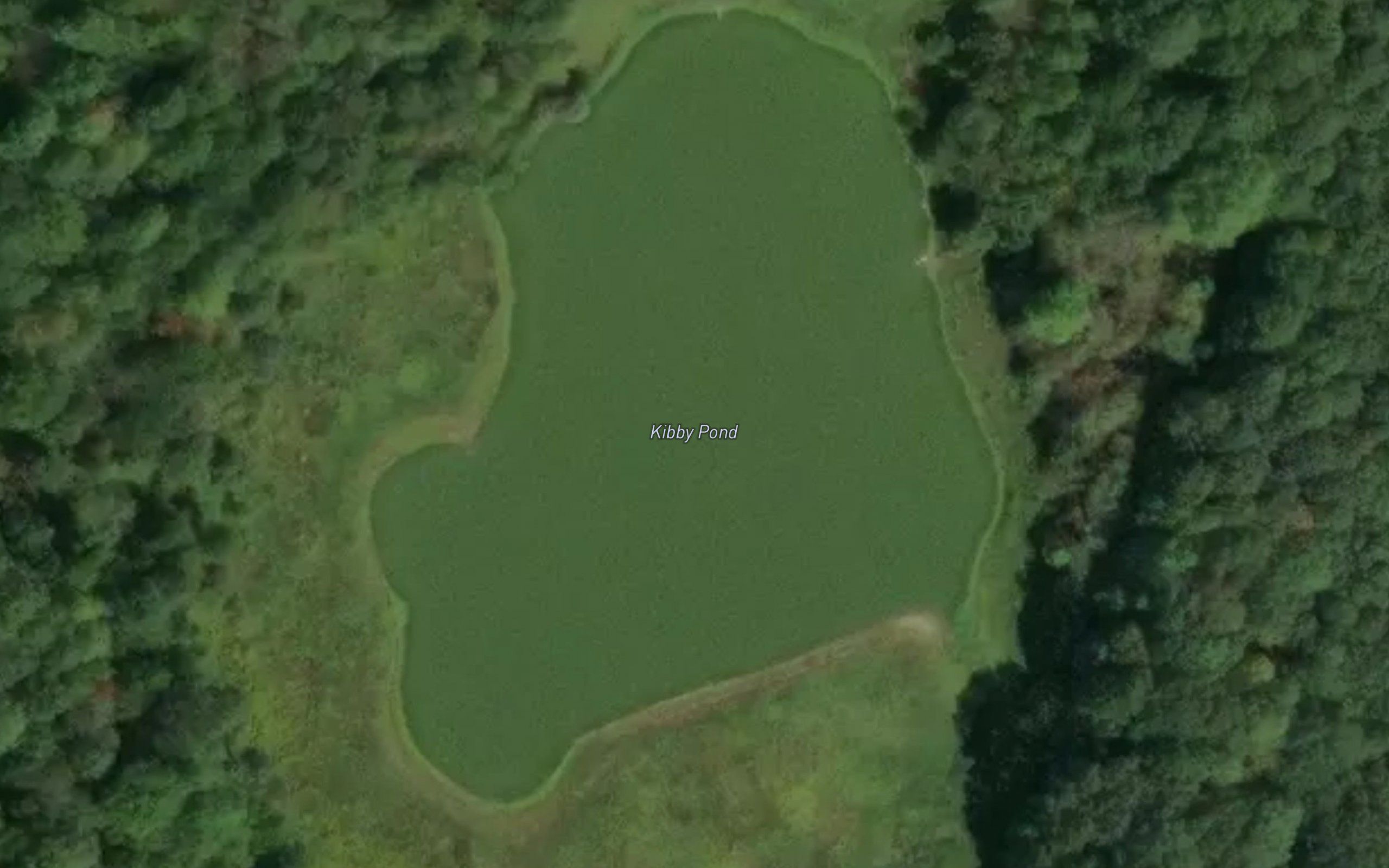 Kibby Pond