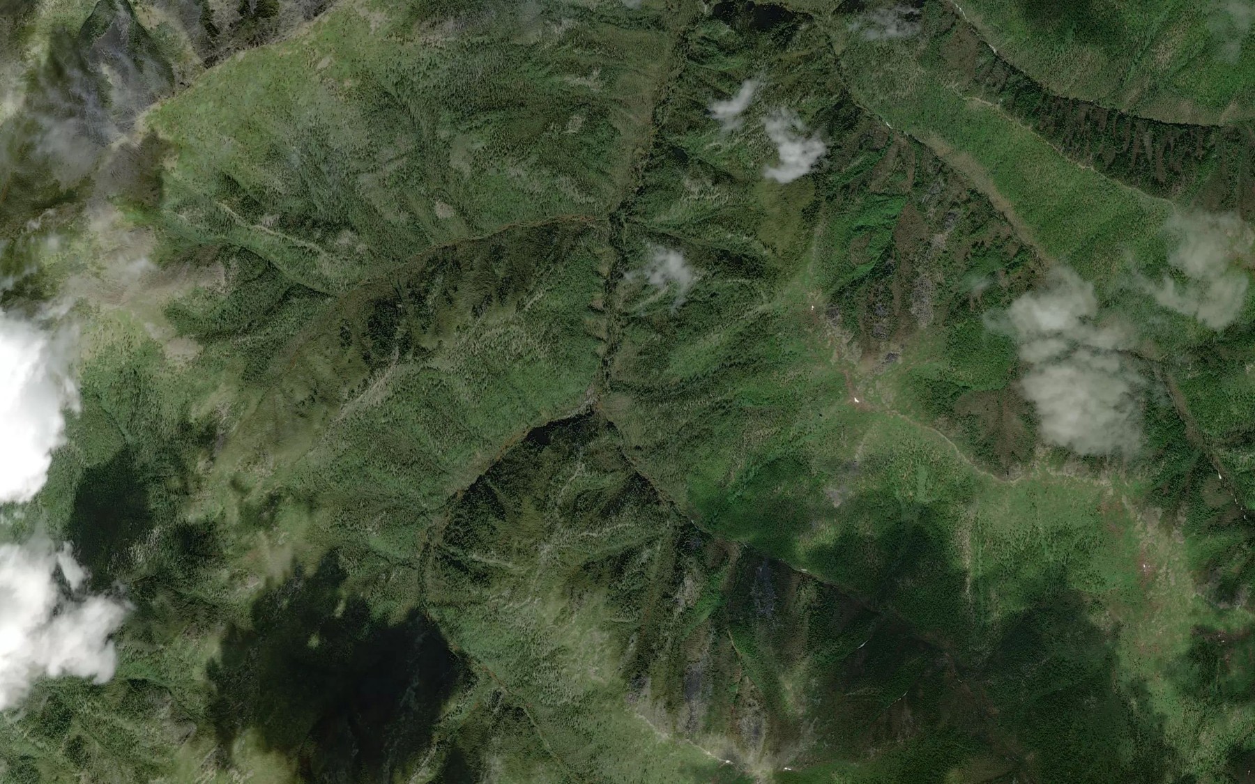 Satellite map of the Ninetytwo Pup