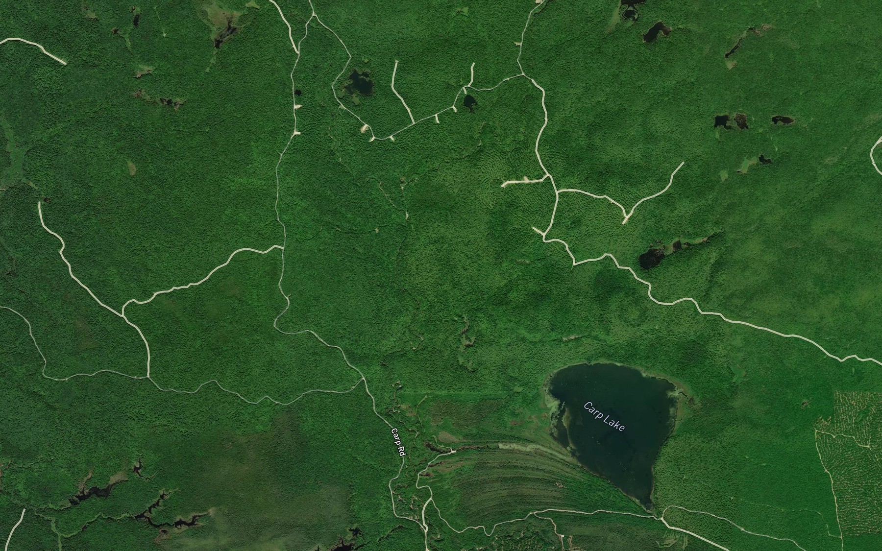Satellite map of the East Carp River