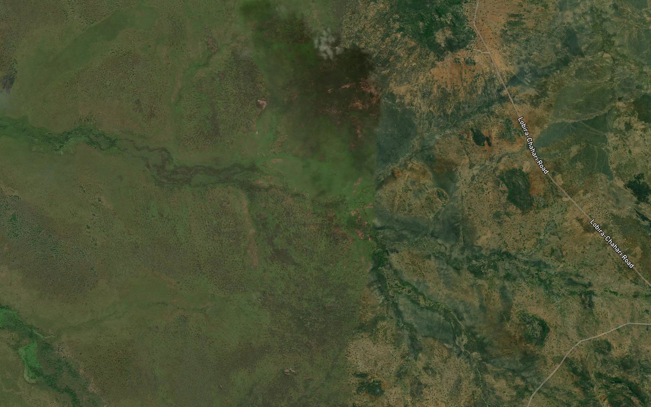 Lomodi