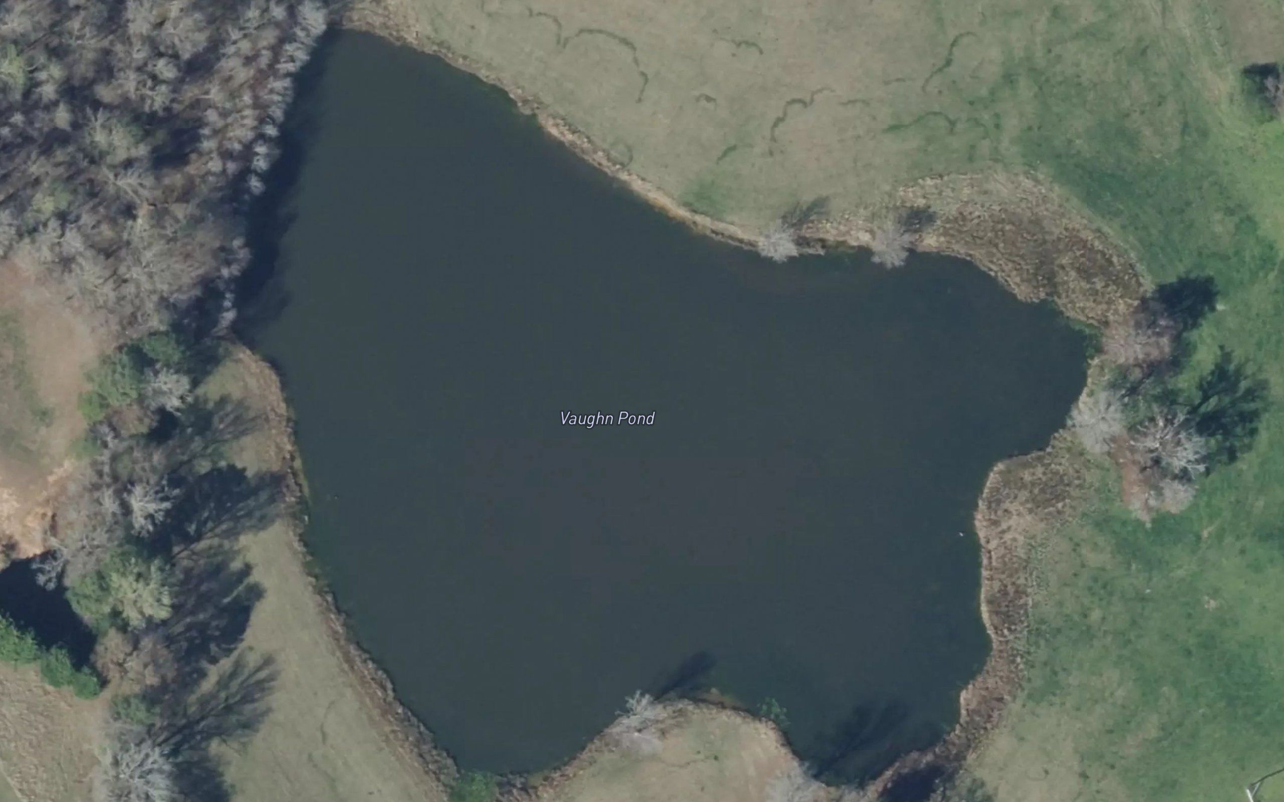 Vaughn Pond
