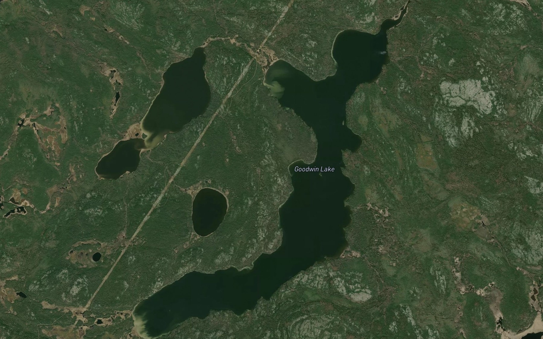 Satellite map of the Goodwin Lake