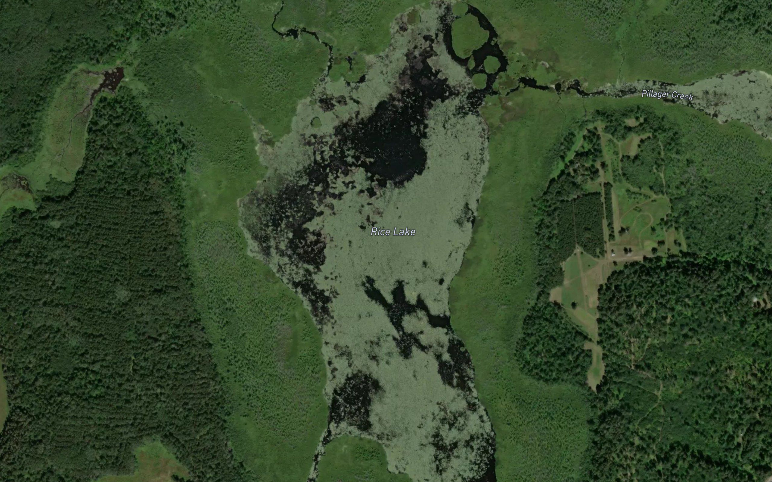 Rice Lake