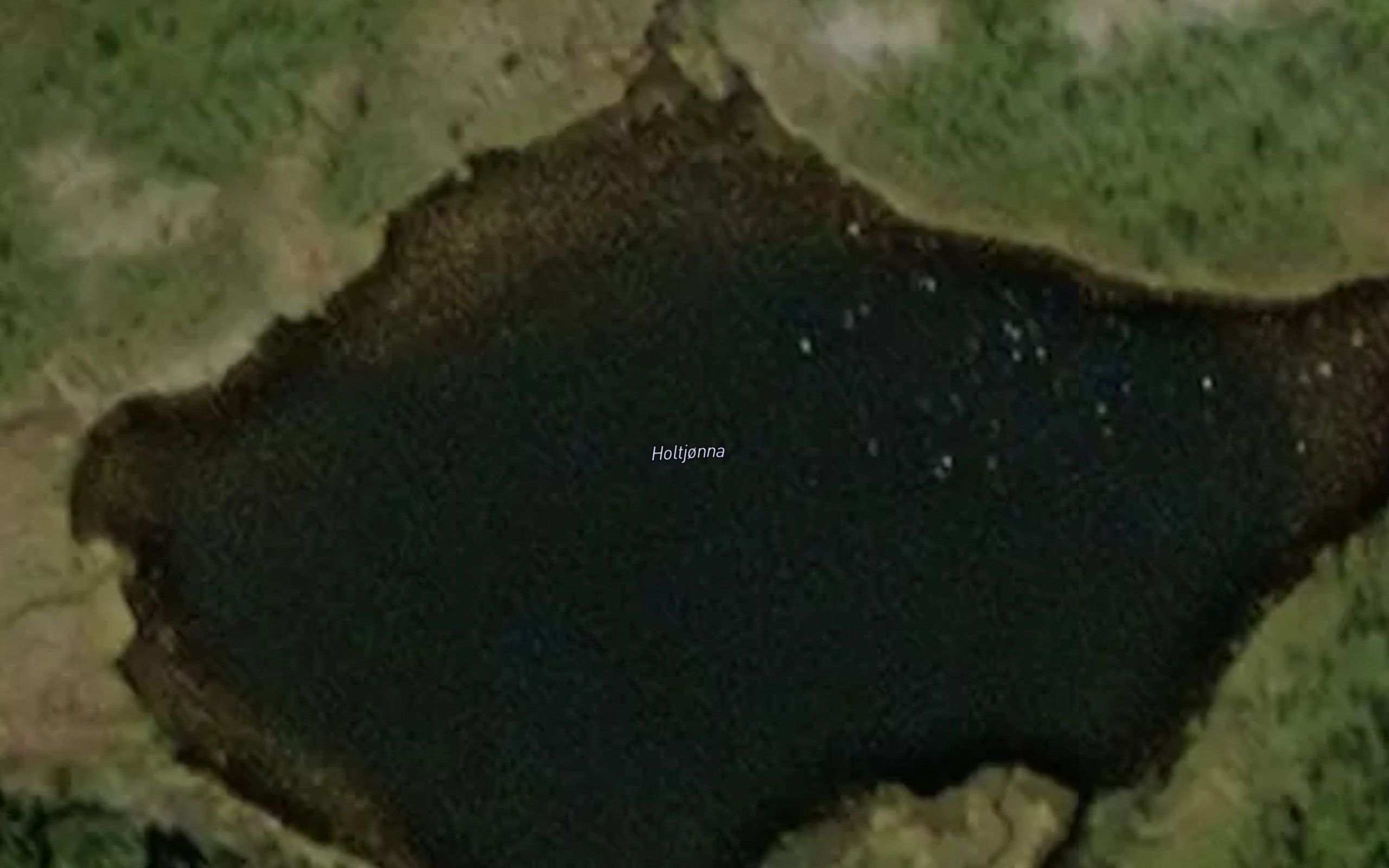 Holtjorna